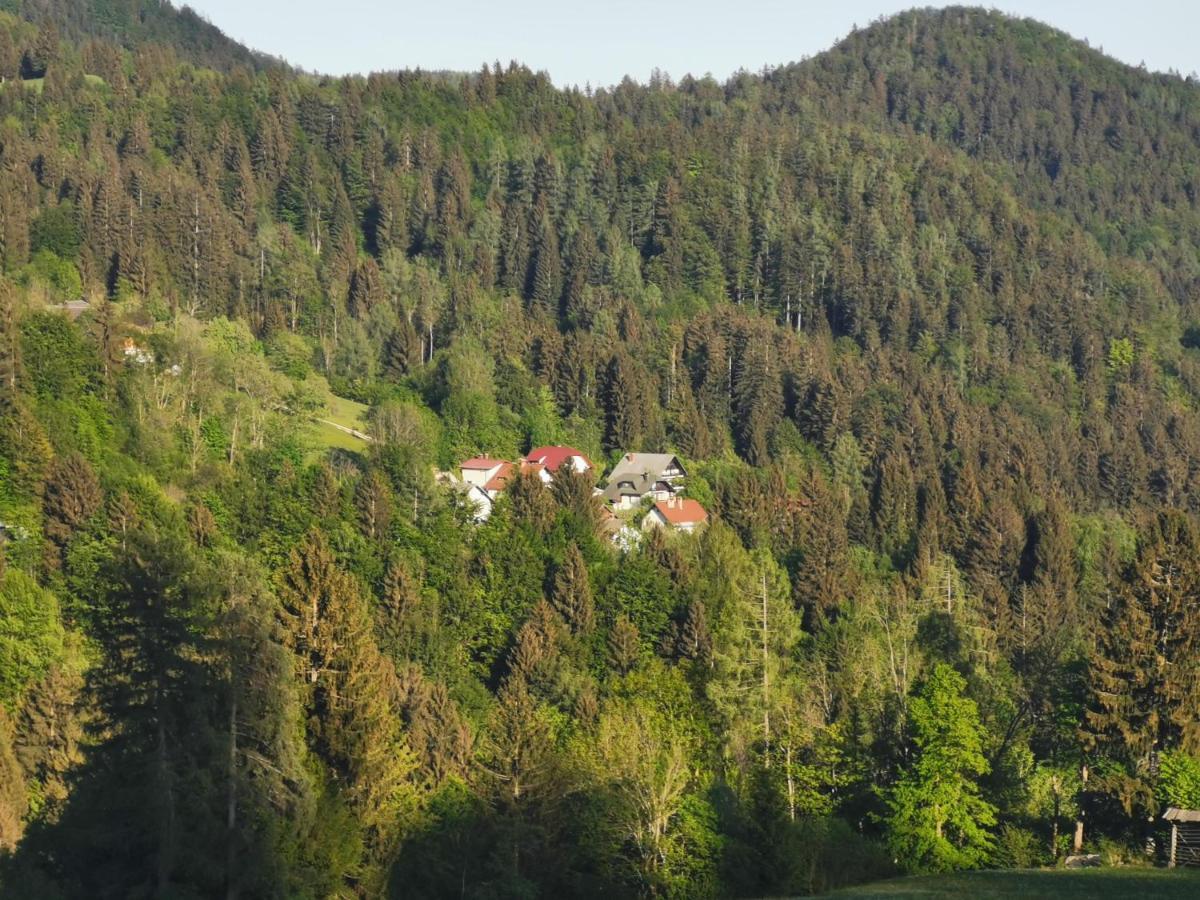 Apartma Rekar - A House, Where You Can Relax In The Embrace Of Nature Jesenice Exterior photo